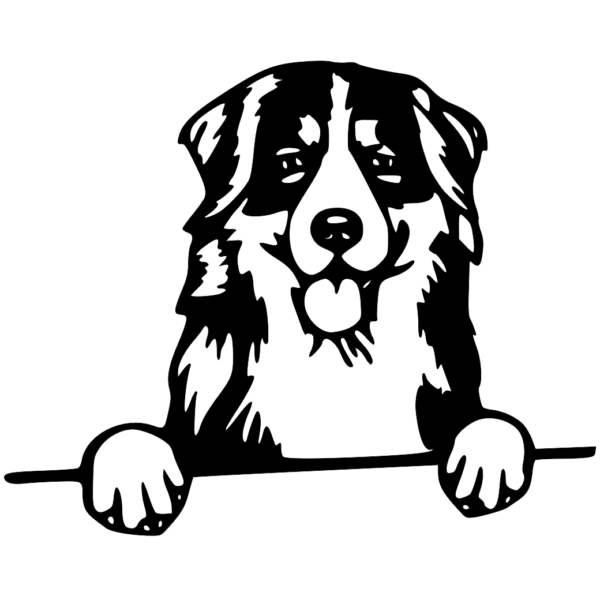 obraz drewniany - berneński pies pasterski