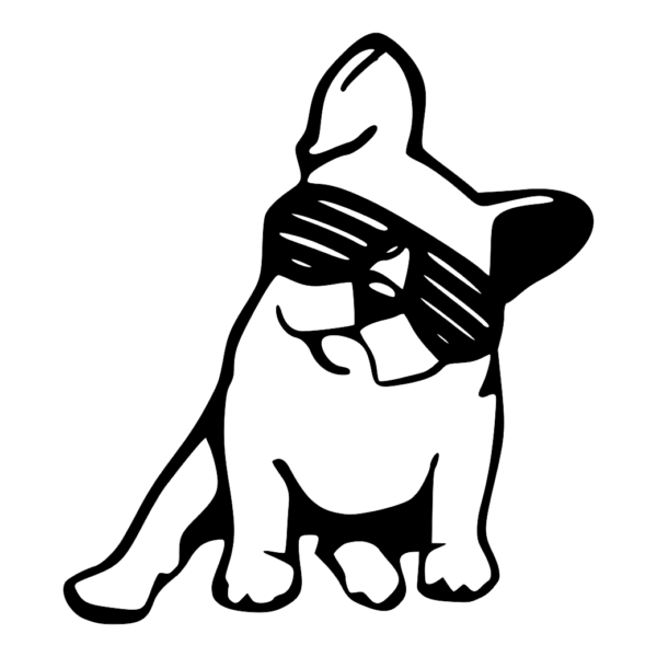 pies buldog w okularach