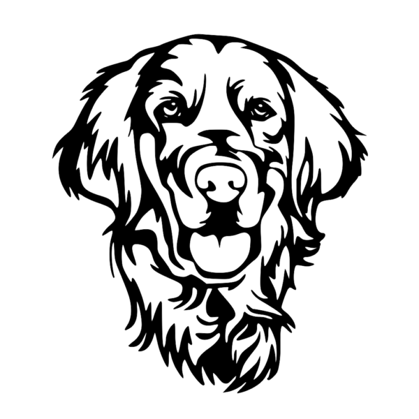 pies golden retriver