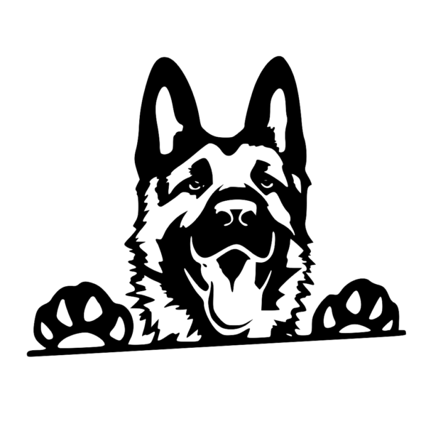 pies owczarek niemiecki 2