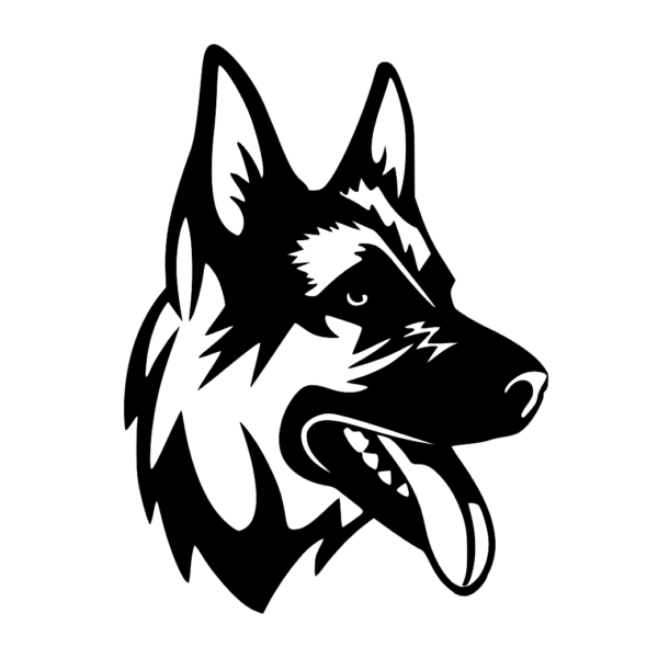 pies owczarek niemiecki