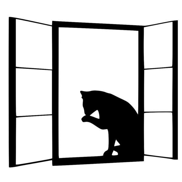 obraz kot w oknie
